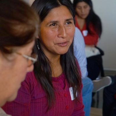 temuco (10)